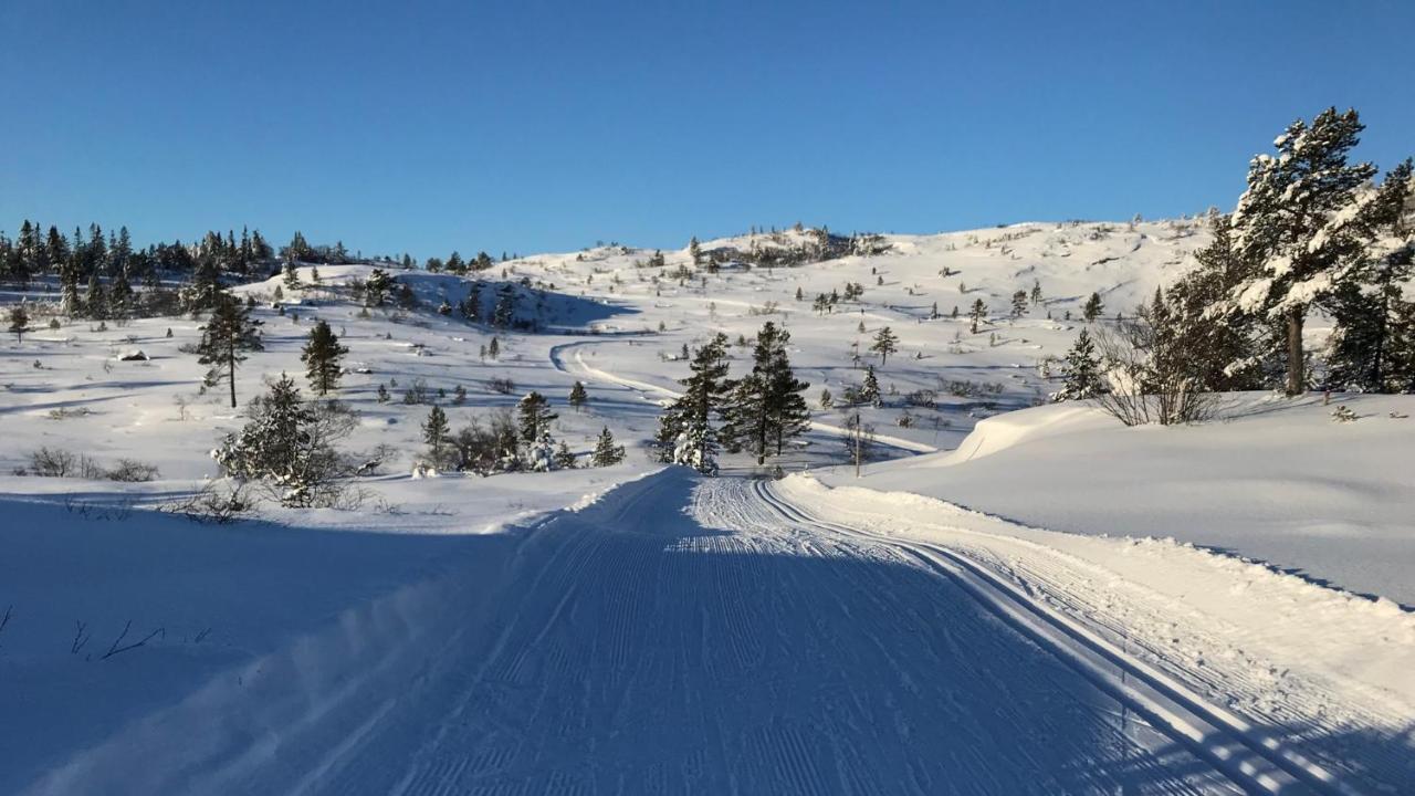 Ski Lodge Gautefall المظهر الخارجي الصورة