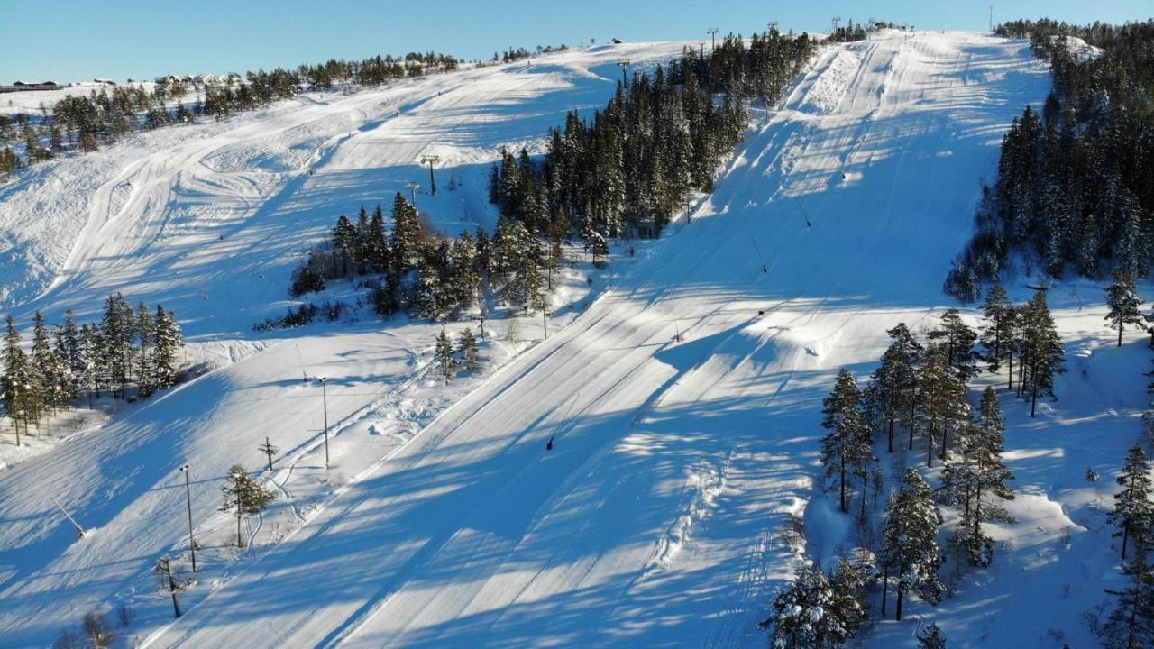 Ski Lodge Gautefall المظهر الخارجي الصورة